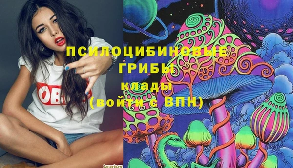 амф Алексеевка