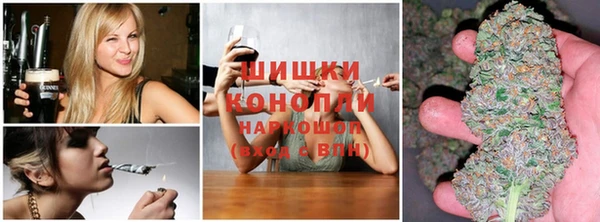 прущие грибы Абдулино
