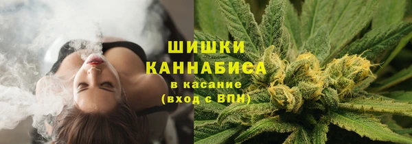 трава Алексин